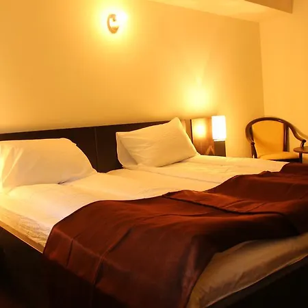 Hotel Domogled 3*